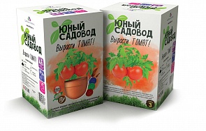 Набор для экспериментов Юный садовод - Вырасти томат (Висма, 407пл)